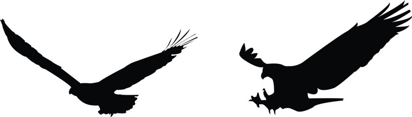Eagle Vector Silhouettes Set in Various Flying and Hunting Poses