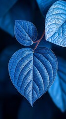 Close-up of vibrant blue leaves  Detailed veins and textures are visible