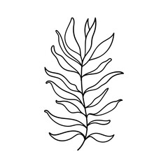 Minimal Leaf Line Drawing. Elegant black and white illustration of a single leaf stem drawn in a clean minimalist style.
