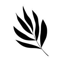 Bold Leaf Silhouette Drawing. Stylized black silhouette of a botanical leaf drawn in a strong, graphic style.