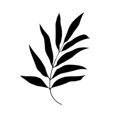 Bold Leaf Silhouette Drawing. Stylized black silhouette of a botanical leaf drawn in a strong, graphic style.