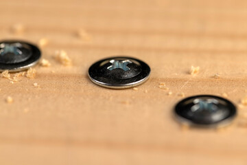 steel self-tapping screws with a shiny wide cap screwed into a wooden board, a row of iron screws screwed into a board