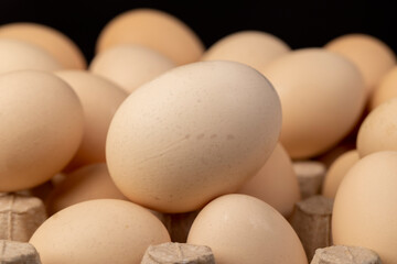 fresh chicken eggs during packaging, yellow eggs close up, side view