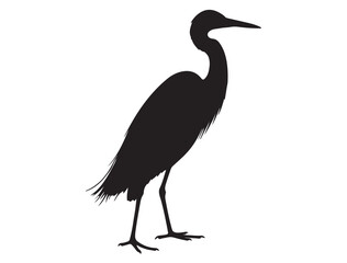 EGRET SILHOUETTE WHITE BACKGROUND