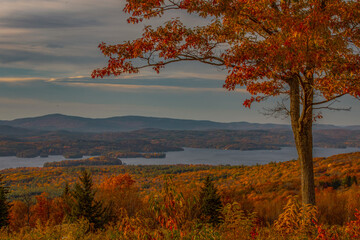 Golden Autumn in New England: Scenic Foliage and Peaceful Countryside