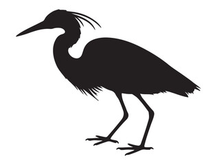 EGRET SILHOUETTE WHITE BACKGROUND