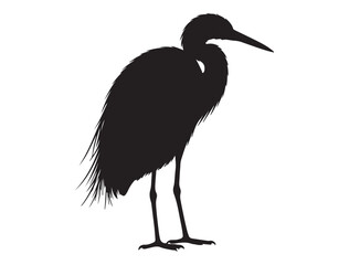 EGRET SILHOUETTE WHITE BACKGROUND