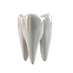 White molar tooth isolated on transparent background