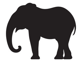 Obraz premium ELEPHANT SILHOUETTE WHITE BACKGROUND