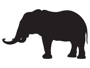 ELEPHANT SILHOUETTE WHITE BACKGROUND