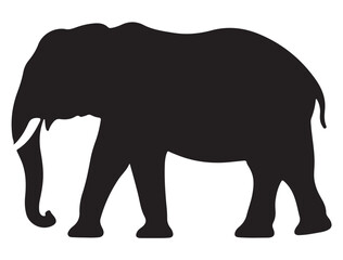 Fototapeta premium ELEPHANT SILHOUETTE WHITE BACKGROUND