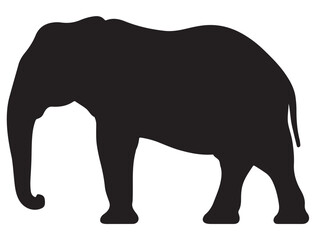Fototapeta premium ELEPHANT SILHOUETTE WHITE BACKGROUND