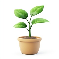Freshly-planted sprout in a terracotta pot.