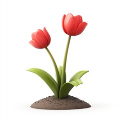 Two vibrant red tulips emerge from a patch of soil.