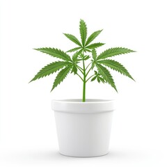 Obraz premium Small cannabis plant in a white pot against a plain background.