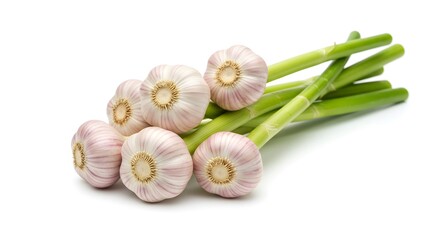 Fresh Garlic Bulbs Cluster with Stems Isolated on White Background