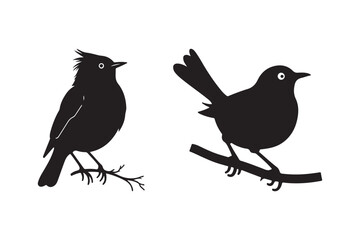 Bird Silhouette Clipart Perched Birds on Branch Vector Art