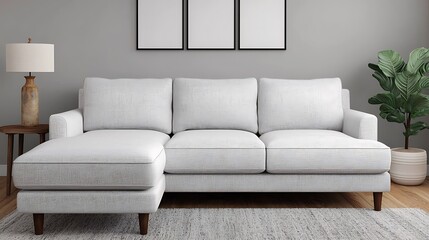 Minimalist Living Room Design: Comfortable White Couch, Wooden Accents, Three Frames, Plant, and Cozy Rug Interior Styling.