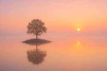 Naklejka premium sunset on the lake