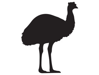 EMU SILHOUETTE WHITE BACKGROUND