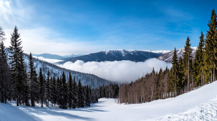 Wintery alpine vista, where evergreen whispers meet the horizon's snowy embrace, conjures alpine folklore and Winterlude magic