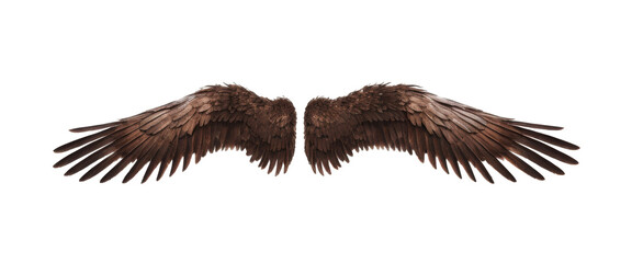 Brown Eagle Wings isolated, Cutout 