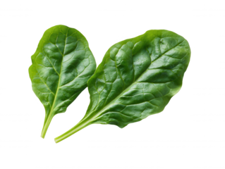 Two vibrant green spinach leaves are placed side-by-side on a clean white background, showcasing their fresh texture and natural, healthy appeal for culinary use.
