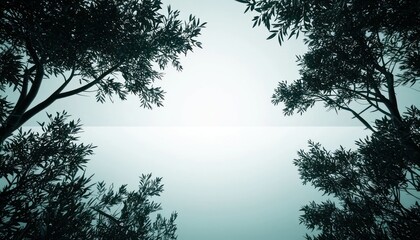 Trees frame a tranquil sky with soft light in a serene natural setting during early morning hours