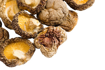 Neatly arranged dried shiitake mushrooms on a white backdrop, offering a glimpse of their rustic, earthy character.