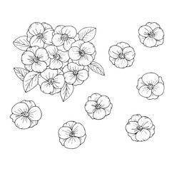 Web