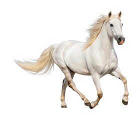 PNG Graceful white horse galloping with flowing mane and tail
