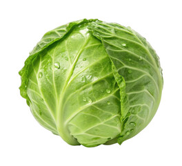 PNG Fresh green cabbage with water droplets