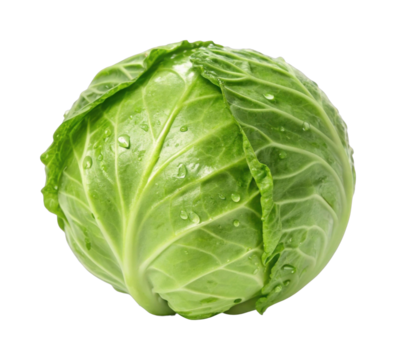 PNG Fresh green cabbage with water droplets