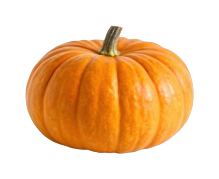 PNG Bright orange pumpkin with defined ridges