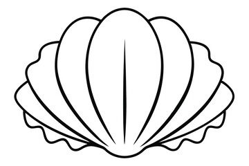 Detailed Black and White Seashell Outline, Marine Life Illustration, Simple Shell Design