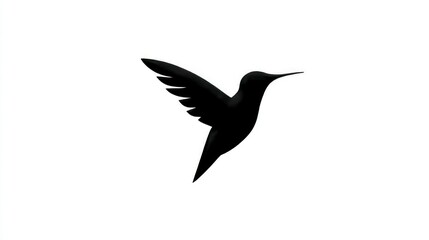Fototapeta premium Silhouette of a Hummingbird in Flight Black and White Artwork Minimalist Design Wildlife Ill