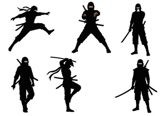Shadow Warriors Silent Assassins Mysterious Figures Masters of Stealth Skilled Martial Artists Agile Combatants The Art of Ninjutsu Ancient Traditions Japanese Warriors Covert Operations Deadly Precis