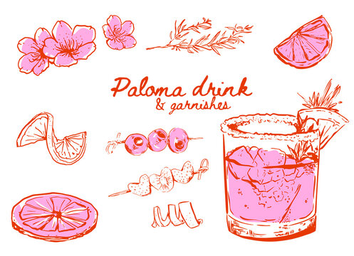 Hand drawn Paloma drink and a set of drink garnishes, lime slices, orange  peels, olive cocktail sticks, starwberry cocktail sticks, flowers and rosemary branch, Drink doodle illustrations 