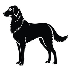 Side View Silhouette of a Black FlatCoated Retriever Standing Alert