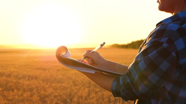 Farmer writing notes in notebook against golden wheat field. Close-up farmer hands holding notebook and pen, documenting wheat growth. Concept of agriculture, harvest planning, and farm management