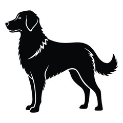 Silhouette Illustration of a Retriever Dog Standing, Isolated Pet Animal Vector