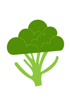Broccoli illustration in vibrant green colors. Simple vector graphic of healthy vegetable with cloud-like florets and stem. Clean, modern food icon perfect for nutrition, organic, and vegan projects