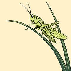 An illustration of a green grasshopper sitting on a fresh leaf. Perfect for educational designs, children's books, posters, and insect illustration collections.