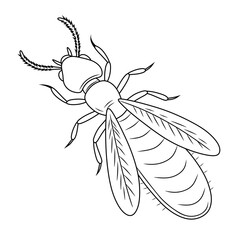 Line art illustration of a termite with clear anatomical details, perfect for design projects, educational books, and digital artwork.
