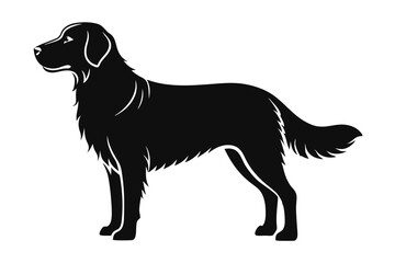 Silhouette of a Black FlatCoated Retriever Dog Standing in Profile, Elegant Canine Design