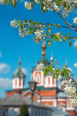 Fototapete bei efototapeten.de bestellen   