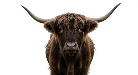 Keuken achterwand Schotse hooglander A majestic, shaggy brown Scottish Highland Cow, renowned for its magnificent long horns and distinctive fringe, is captured in a striking head-on portrait.  © imagination world