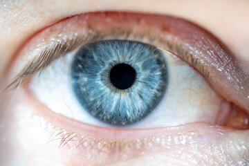 Male eye with blue coloured iris. Structural and anatomical details of human eye.