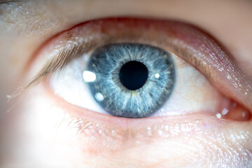 Male whole eye with blue coloured iris. Structural and anatomical details of human eye.