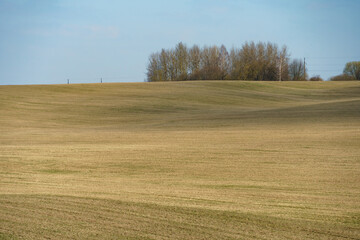 A freshly plowed agricultural field. Preparation of the soil for sowing wheat.